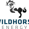 Logo Wildhorse Energy, zdroj: http://www.wildhorse.com.au