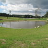 Nové rybníky mezi Drhleny a Suhrovicemi
