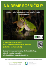 Obrázek Obrázek - Děti lesa