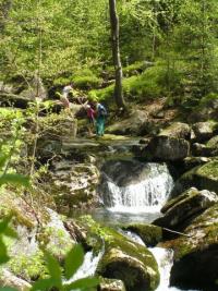 Turisti v české divočině - návrh Hnutí Duha