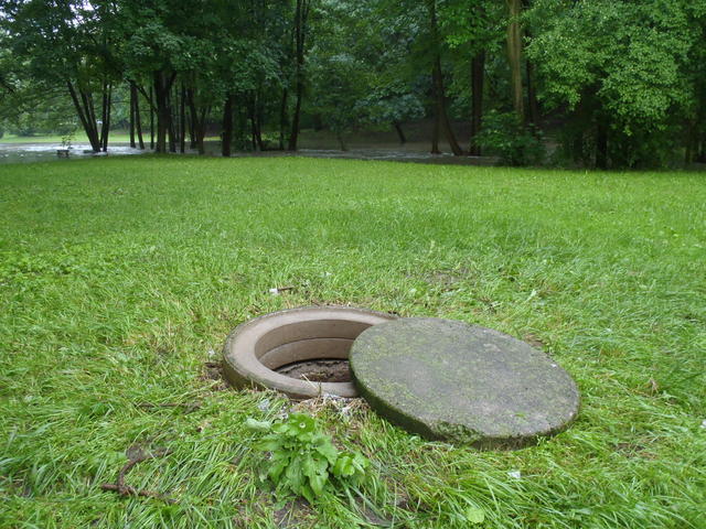 Obrázek