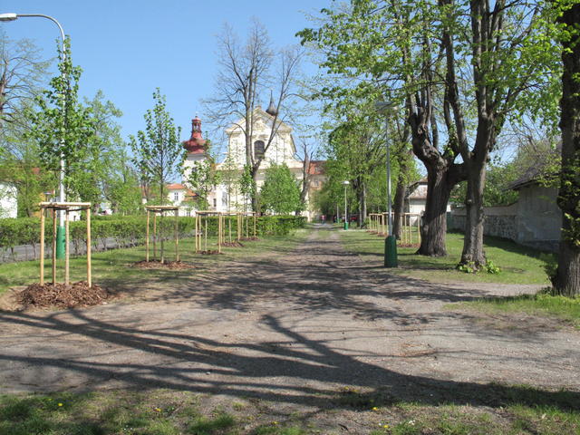 Obrázek