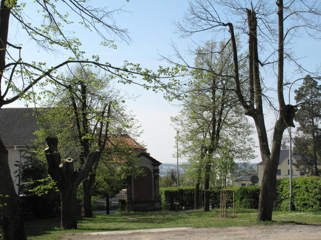 Obrázek