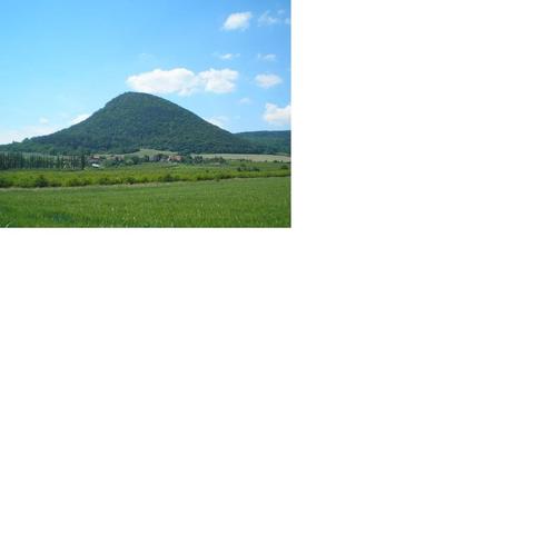 Obrázek
