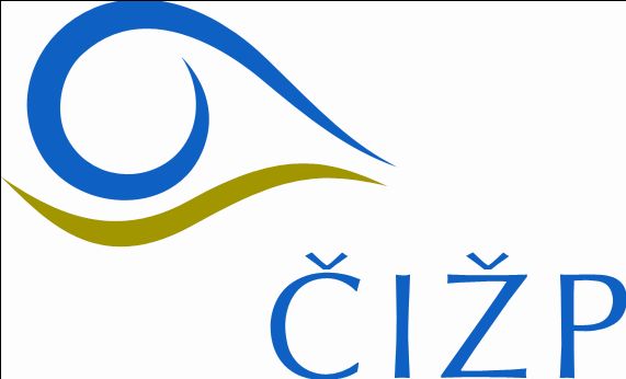 Obrázek