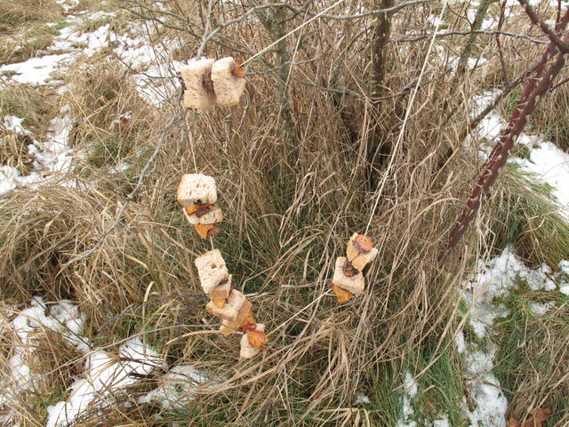 Obrázek