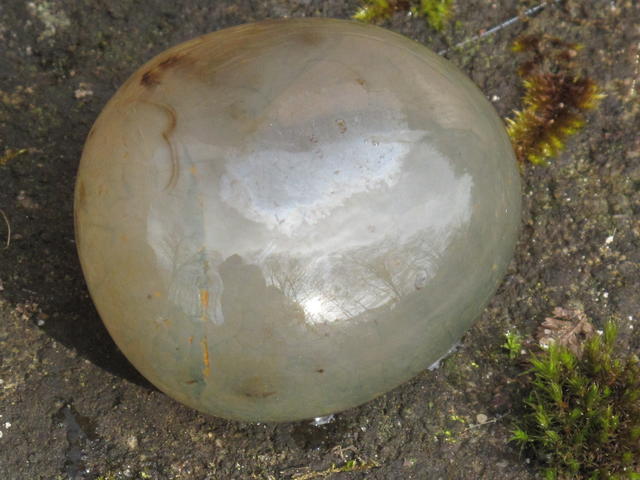 Obrázek