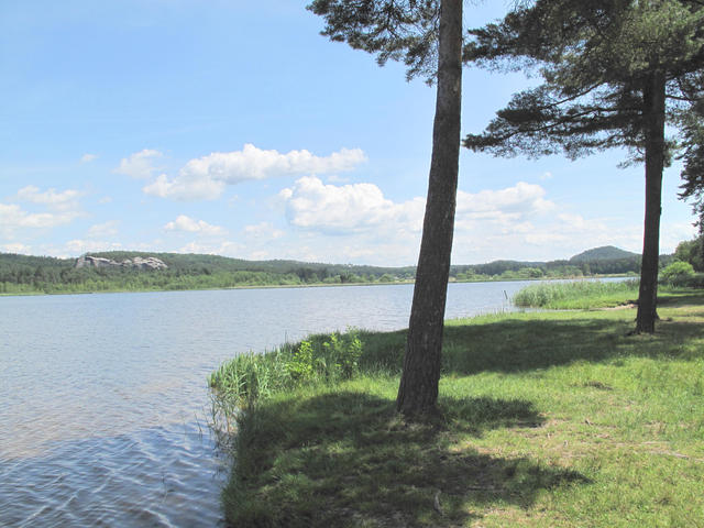 Obrázek