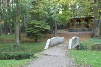 Obrázek