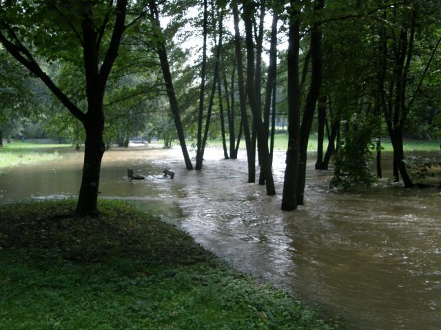 Obrázek
