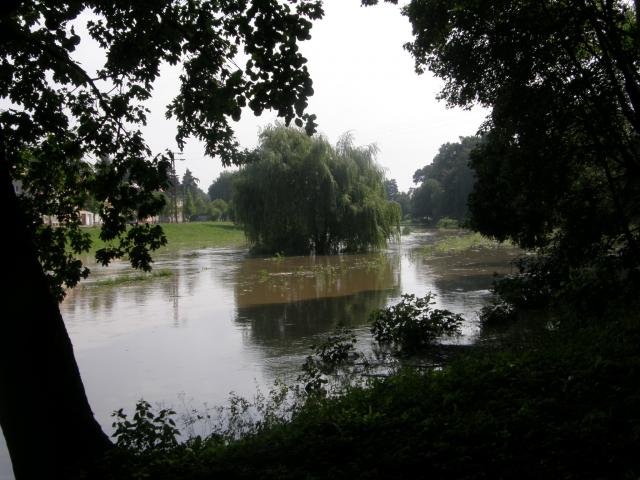 Obrázek