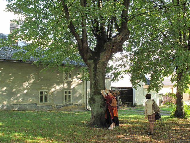 Obrázek