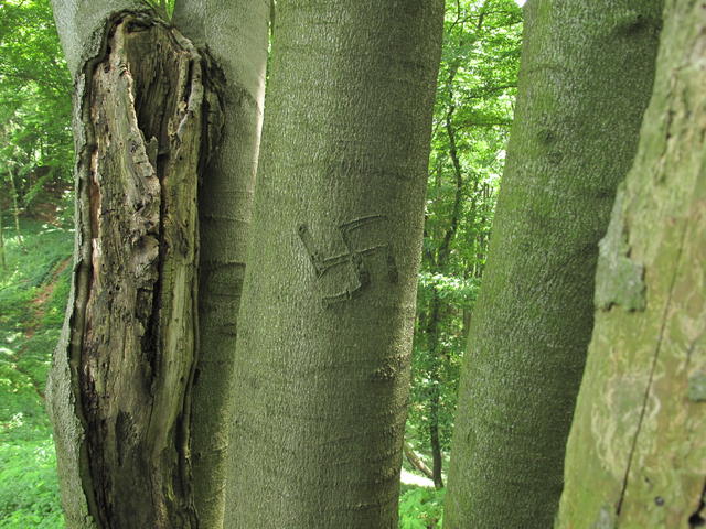 Obrázek