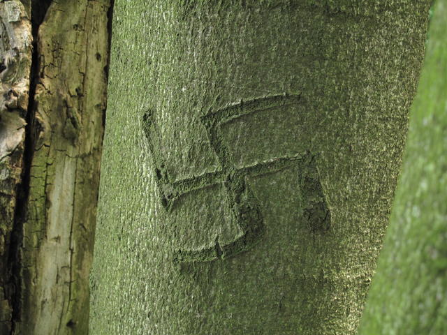 Obrázek