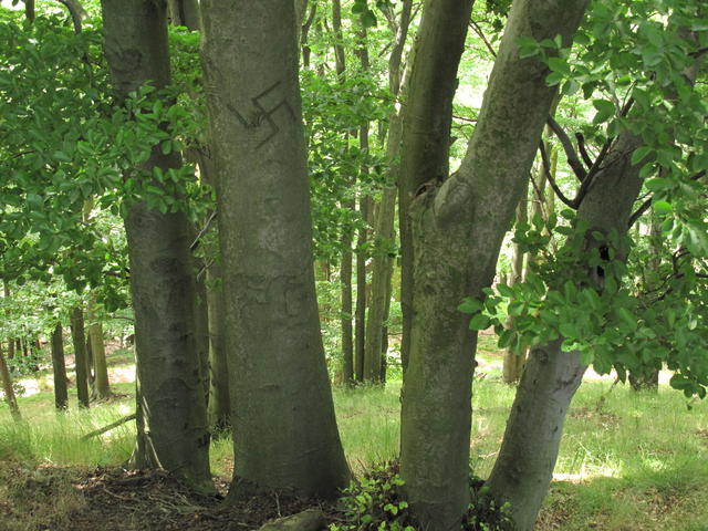 Obrázek