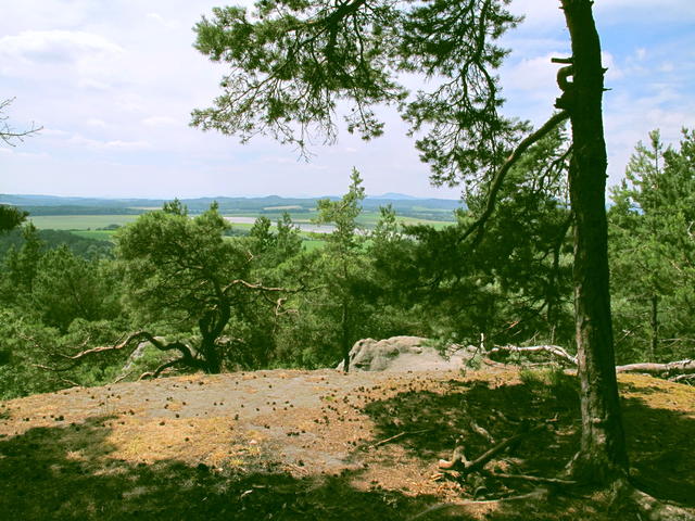 Obrázek