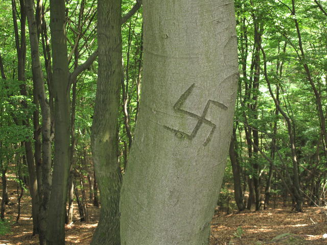Obrázek