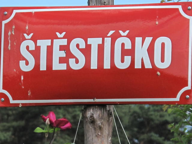 Obrázek